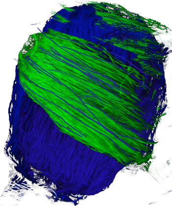 Recolor Image And Maintain Shading - Illustration (350x418), Png Download