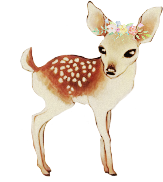 Baby Deer @scribblehandsfreetoedit - Baby Deer Drawing (1024x1024), Png Download