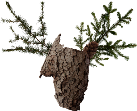 Visual Identity And Packaging Design For Wild, An Austrian - Pond Pine (600x420), Png Download