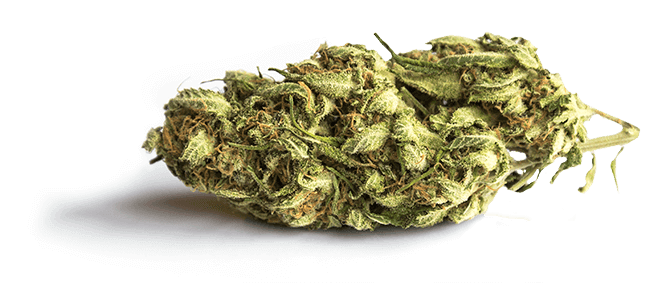 Cannabis Infused - Los Angeles (650x283), Png Download