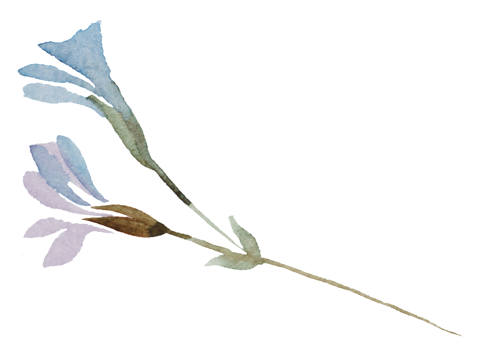 This Graphics Is Elf Flower Branch Cartoon Transparent - Cartoon (1024x715), Png Download