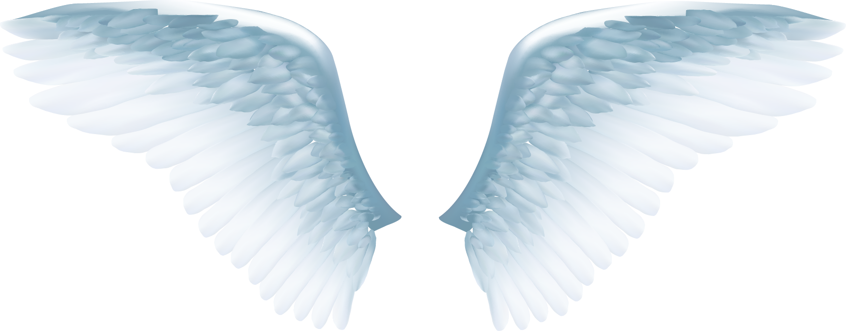 White Angel Wings Png - Angel Vector (1684x659), Png Download