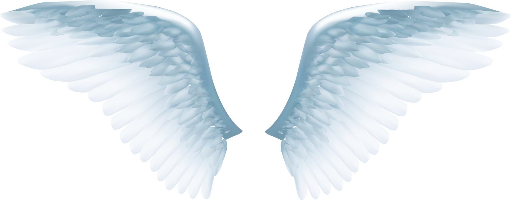 Angel Wings Vector Png