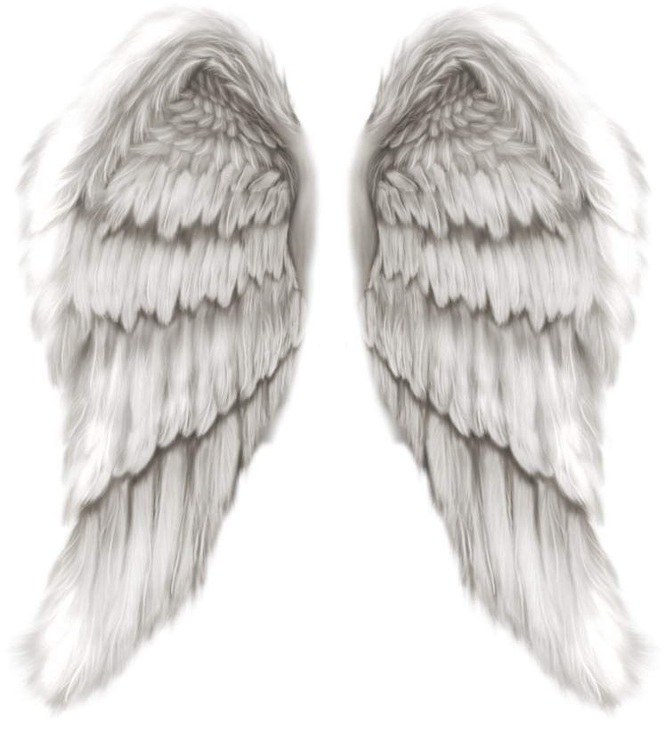 Angel Wings SVG Transparent