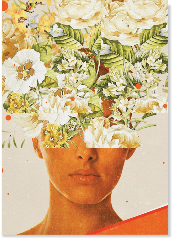 9501 Frank Moth Postcard - Shirt (1000x1000), Png Download