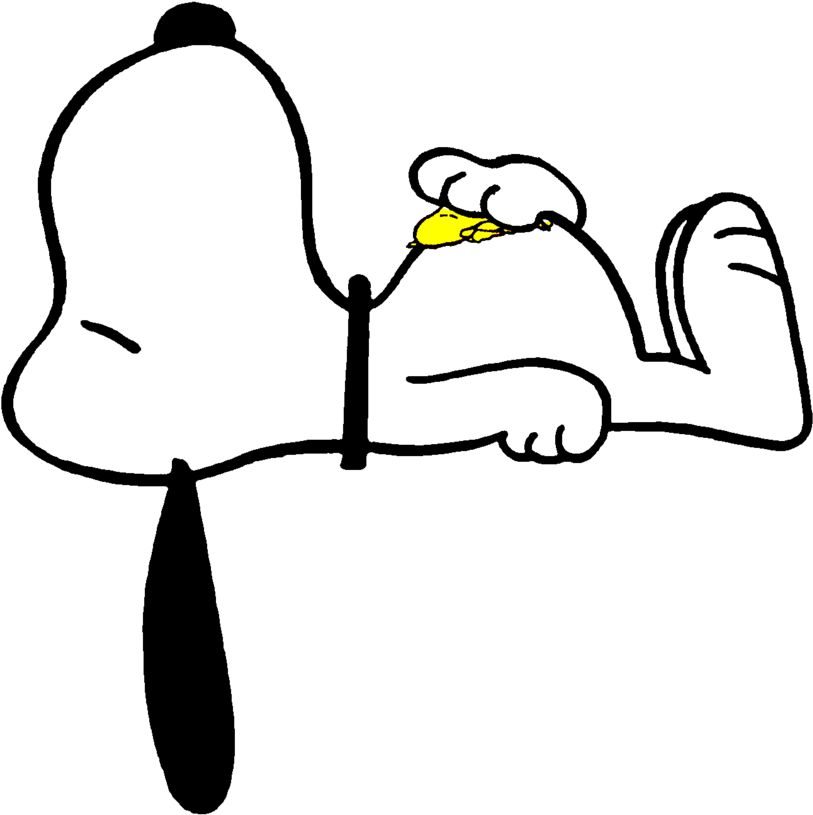 Download Snoopy Sleeping Png Snoopy Deitado Na Casinha Png Image With No Background Pngkey Com