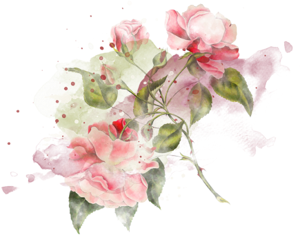 Largest Collection Of Free To Edit Bride Of Frankenstein - Garden Roses (491x480), Png Download