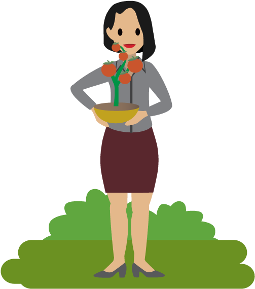 A Person Holding A Tomato Plant - Tomato (972x756), Png Download