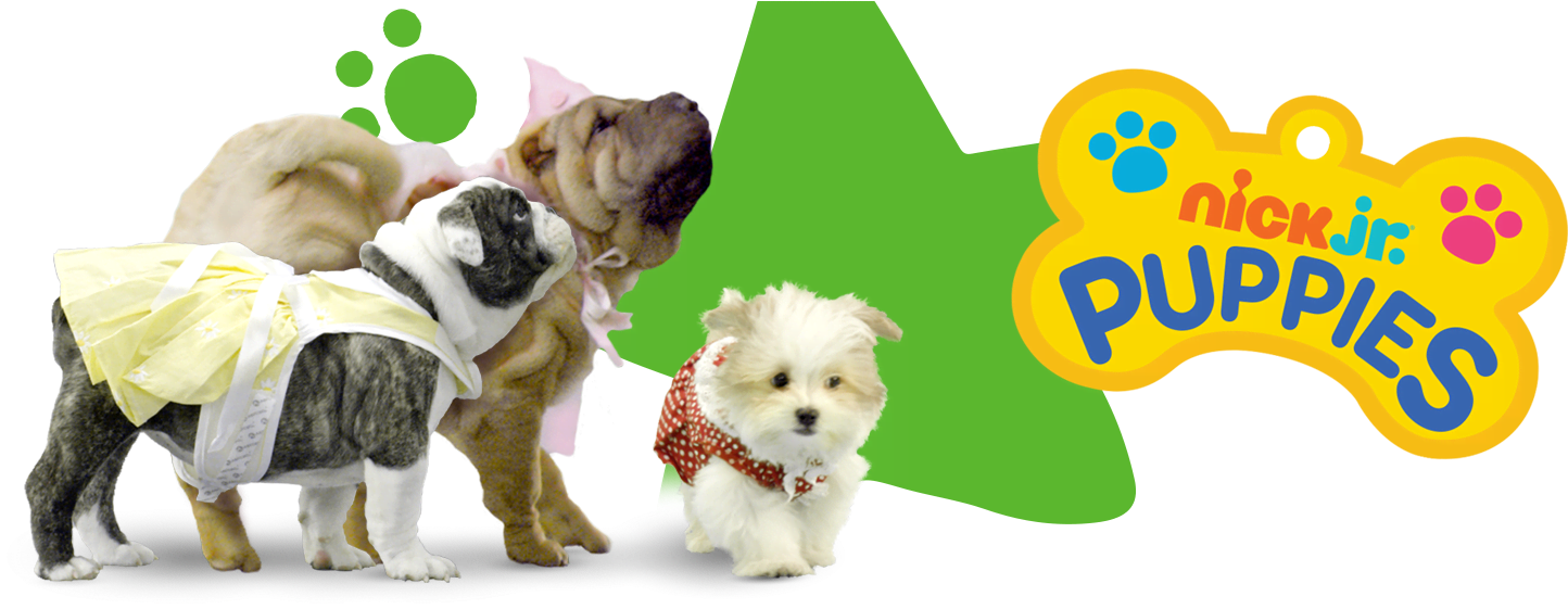 Puppies Header - Puppy (1536x680), Png Download