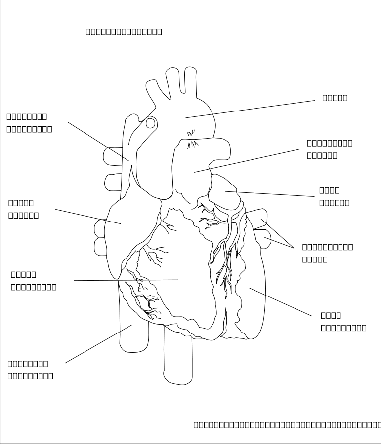 How To Set Use The Human Heart Clipart (771x900), Png Download