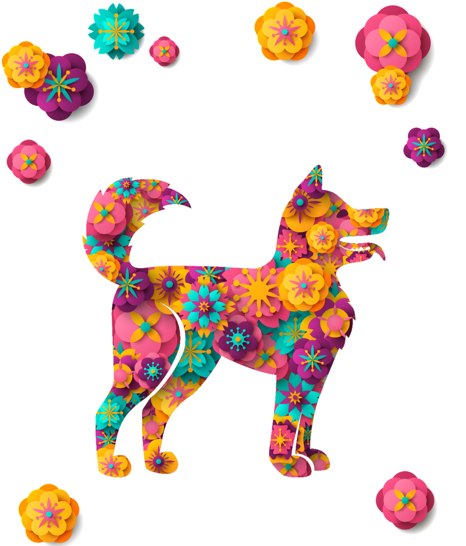 Designed Puppy's Transparent Decorative - Dog (1024x1150), Png Download