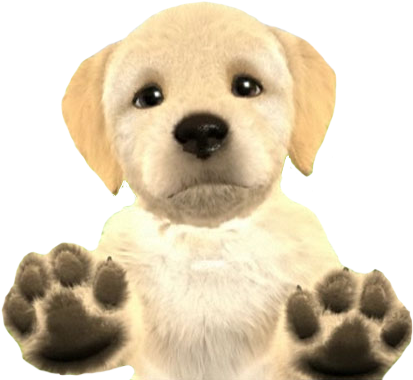 Great Dane - - Puppy Golden Retriever Transparent Background (439x385), Png Download