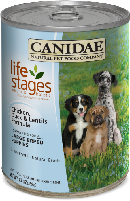 Food Brand For A Great Pyrenees (500x700), Png Download