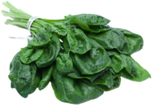 Forgetmenot - Spinach (530x361), Png Download