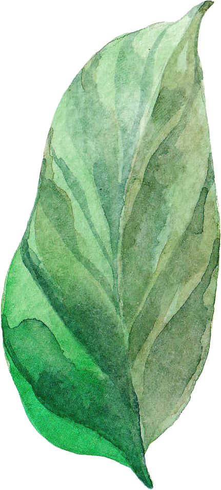H402 - Watercolor Painting - Free Transparent PNG Download - PNGkey