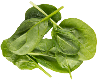 Kicked Up Spinach And Sun Dried Tomato Omelet Sandwich - Spinach Cooked Png (488x488), Png Download