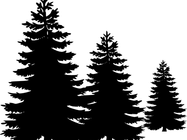 Pine Tree Silhouette Free (640x480), Png Download