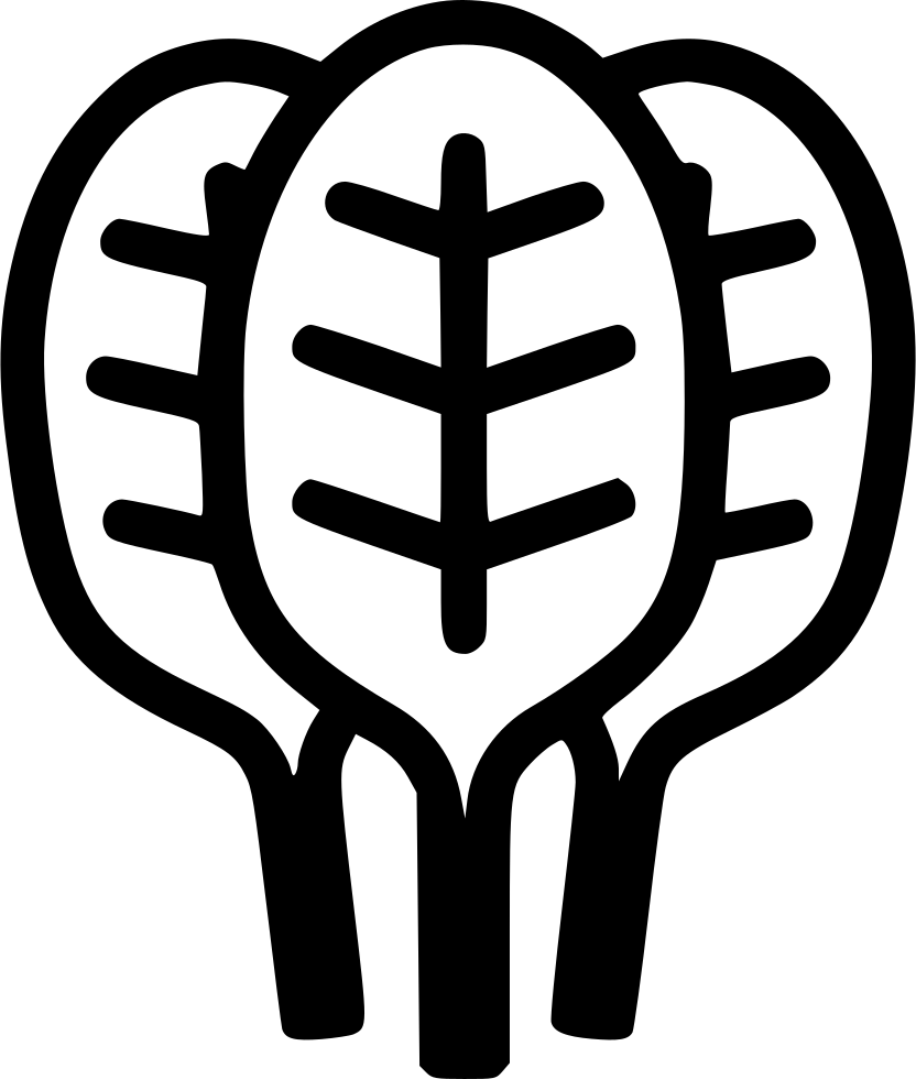 Png File - Spinach Icon (832x980), Png Download