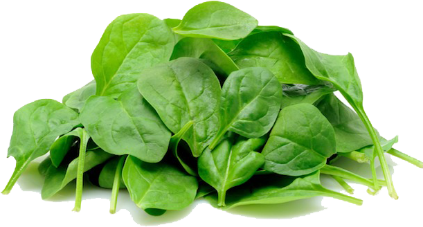 Spinach Png Image - Spinach Png (610x458), Png Download