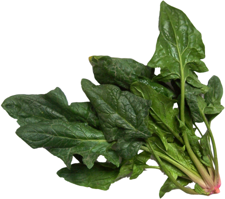 Download Spinach Png Image - Spinach Png (500x443), Png Download
