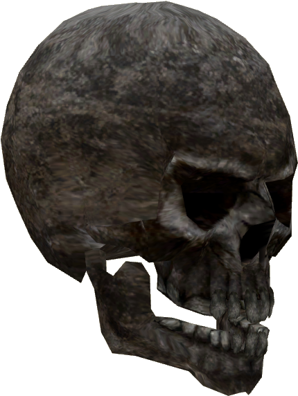 Skull (571x571), Png Download