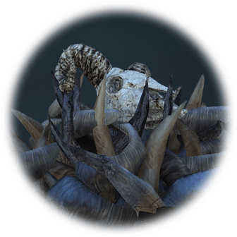 Pile Of Mountain Goat Skulls - Goat (360x360), Png Download