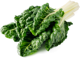 Leafy Fresh Silverbeet - Lacinato Kale (585x390), Png Download