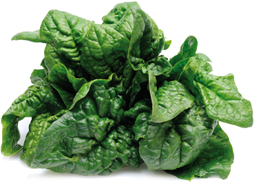 Tocotrienols Health Benefits (500x400), Png Download