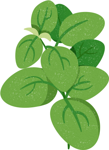 Spinach Leaves - Spinach (700x650), Png Download