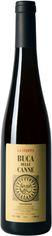 Bucca Delle Cane - Pinot Noir Undurraga Th (1000x1121), Png Download