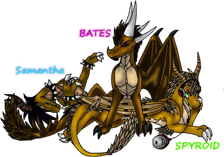 [user Posted Image] - User (772x554), Png Download