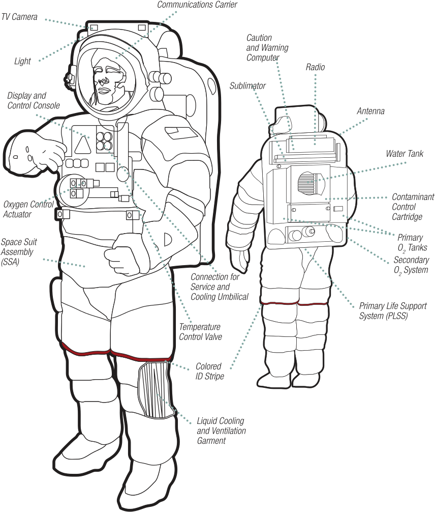 This Image Rendered As Png In Other Widths - Emu Space Suit Pdf (500x588), Png Download