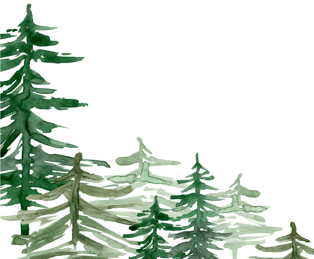 Green Watercolor Hand Painted Forest Transparent - Free Printable Hot Cocoa Bar Sign (1024x1024), Png Download