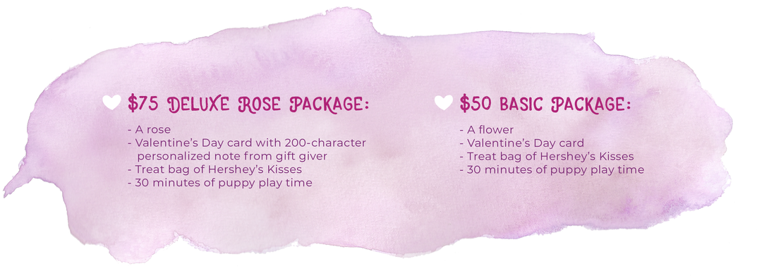 Please Choose Your 'pups & Kisses' Or 'kitties & Kisses' - Lavender (1100x403), Png Download
