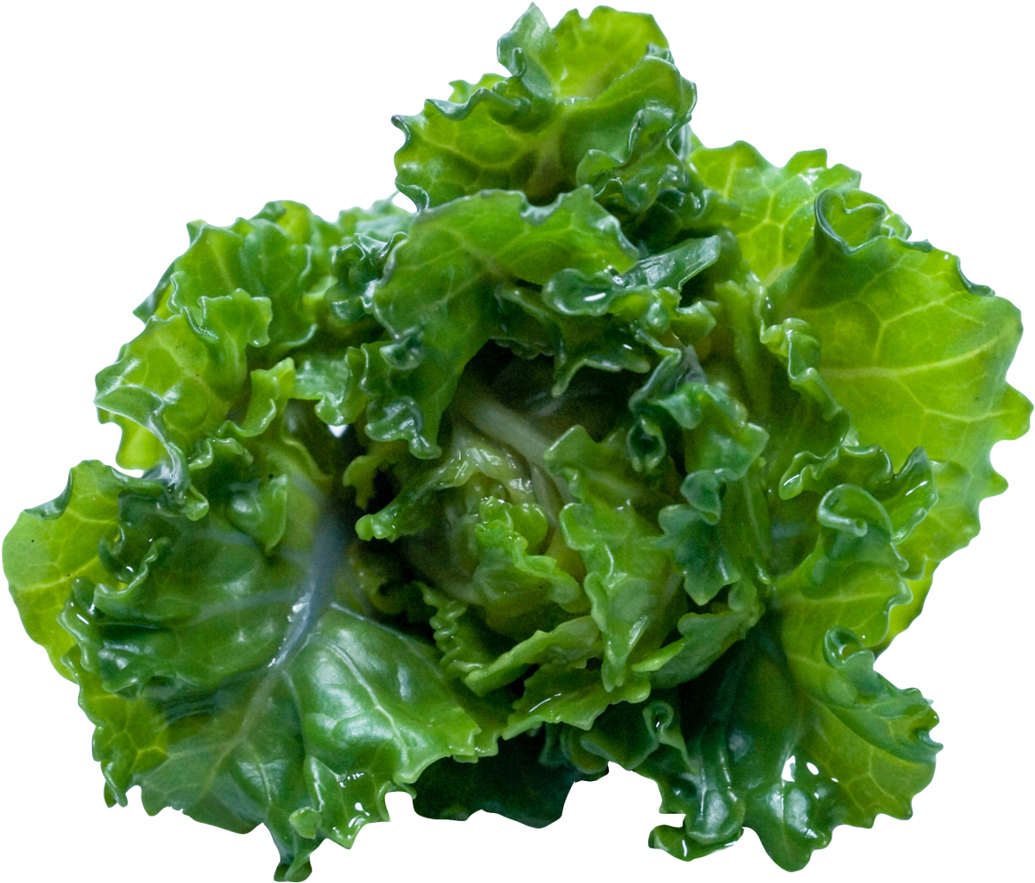 Kale Png (1219x1042), Png Download