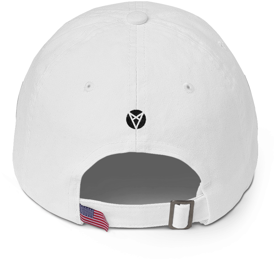 Vaporwear "captain Cardano" Dad Hat - Fake News Fnn - Dad Hat (1000x1000), Png Download