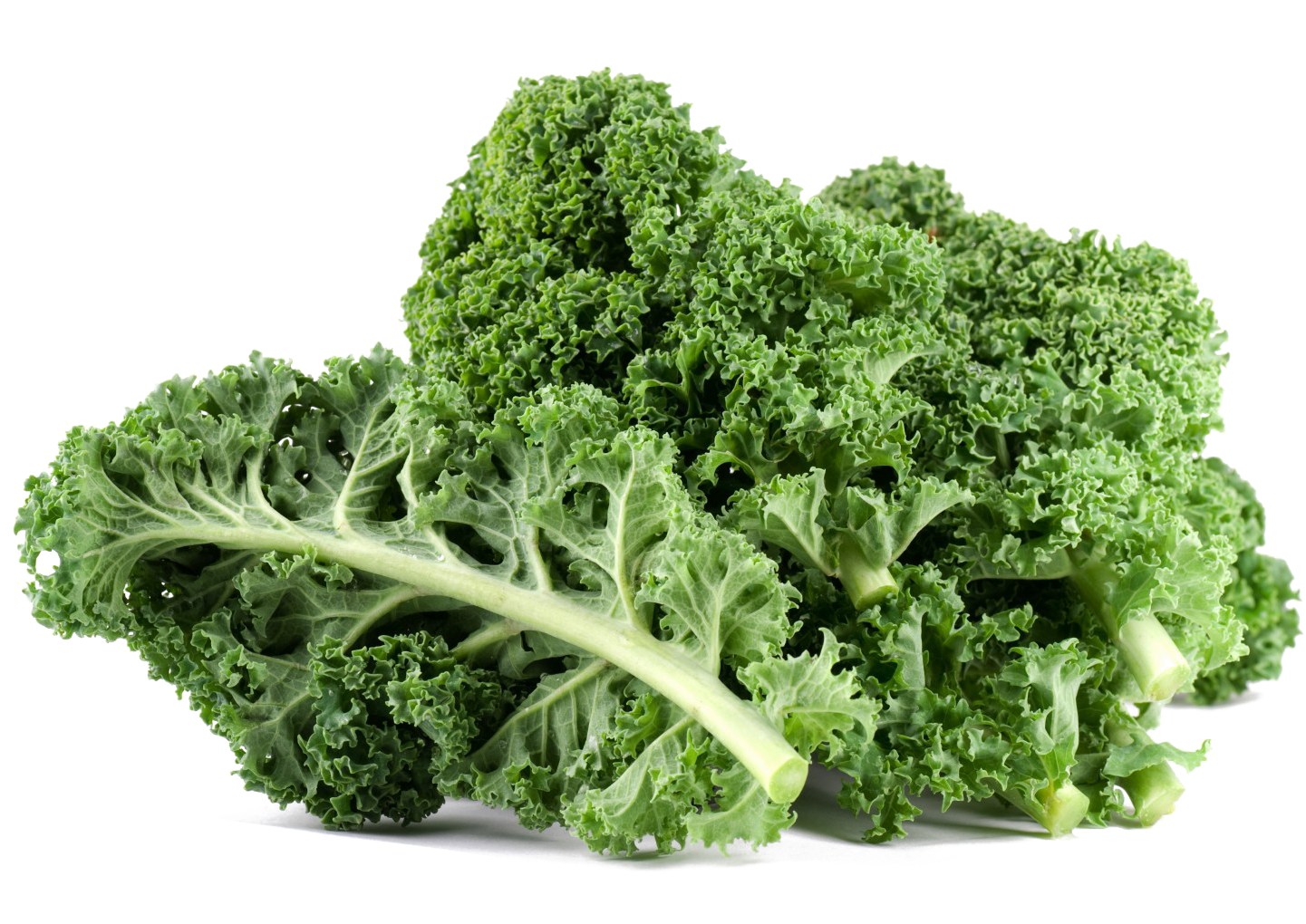 Kale Png File - Kale Leaves (1572x1052), Png Download