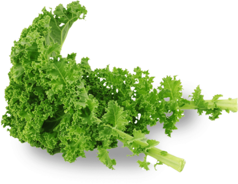 Free Png Kale Png Images Transparent - Kale Png (850x658), Png Download