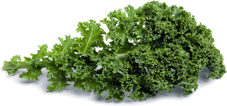 Free Png Kale Png Images Transparent - Kale Png (850x358), Png Download