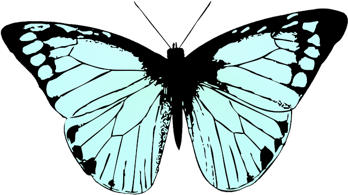 Butterfly Image Black White - Butterfly Wing Black And White (709x496), Png Download