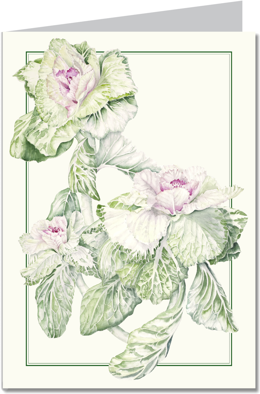 Flowering Kale Item (1000x1411), Png Download