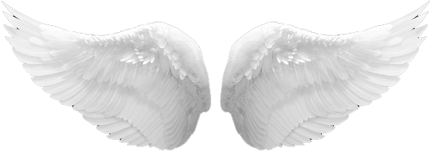 Stores Soundscapes - Angel Wings Png Real - Free Transparent PNG ...