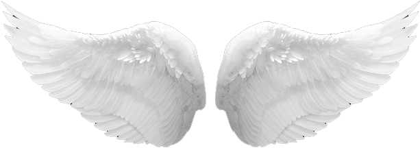 Stores Soundscapes - Angel Wings Png Real (651x306), Png Download