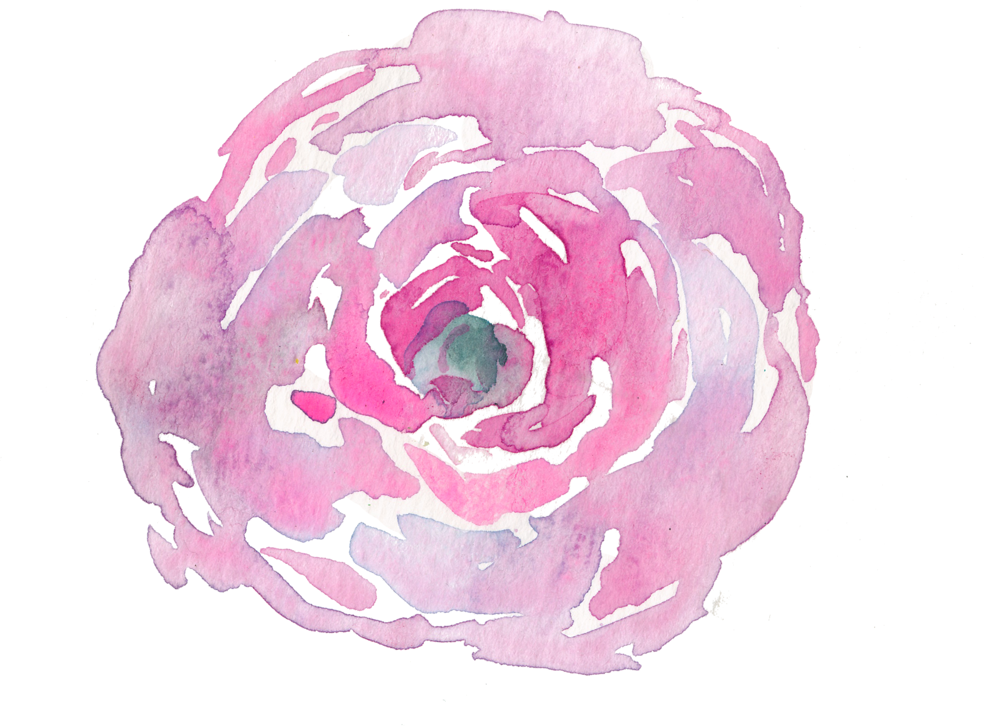 F8 ❤ Liked On Polyvore Featuring Floral, Extras And - Cress (1970x1454), Png Download