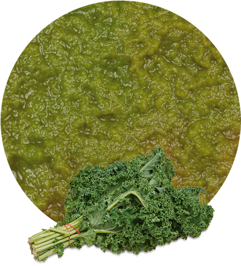 The Consumption Of Kale Is Highly Recommended Because - Kale Fresh Produce Fruit Vegetables Per Bundle Each (536x595), Png Download