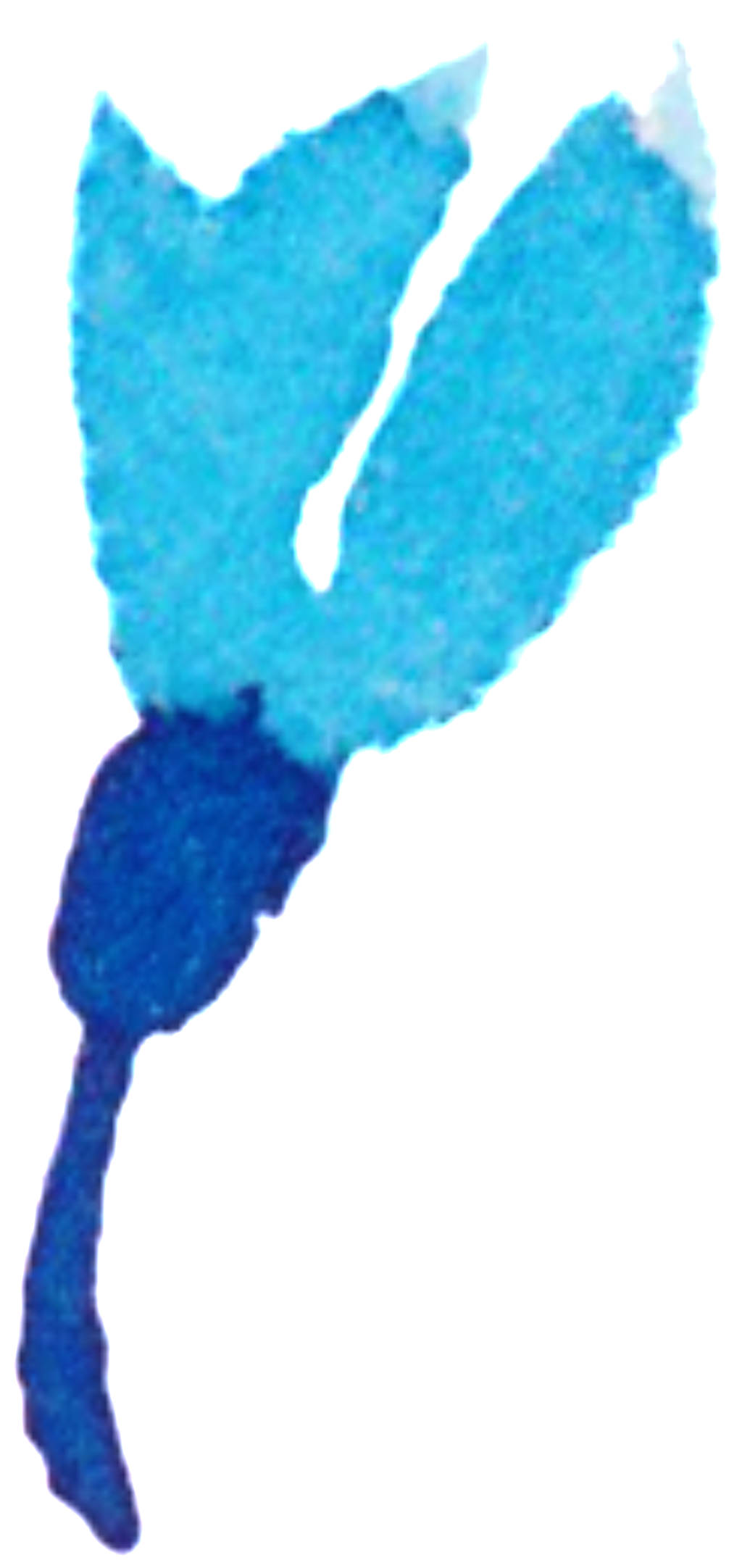 Ornamental For Watercolor Flower Bouquet - Flower (1024x2164), Png Download