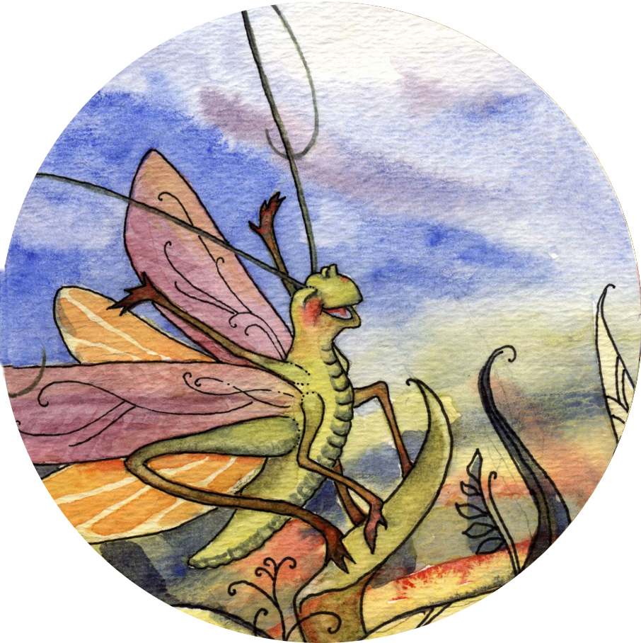 Skippit 3 Ed Circle Small - Fairy (906x908), Png Download