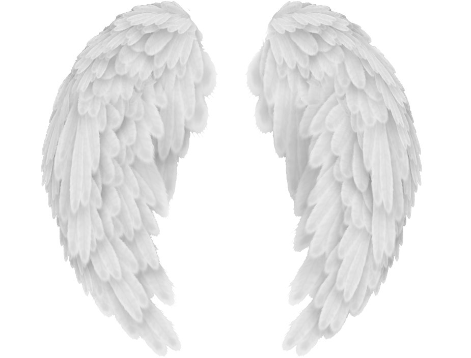 Angel Wings Png - Angel Wings Png Transparent (1280x904), Png Download