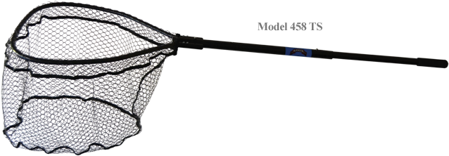 Tournament Series - Panties (651x228), Png Download