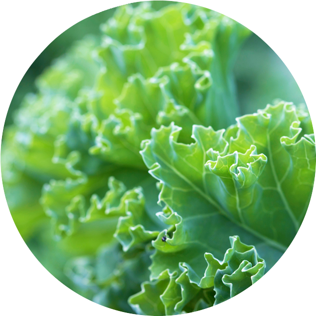 Cooking Class With Greens (656x654), Png Download